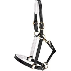 KINGS INTERNATIONAL Suffolk™ Lined Halter- Halters