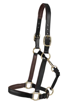 KINGS INTERNATIONAL Suffolk™ Lined Halter- Halters