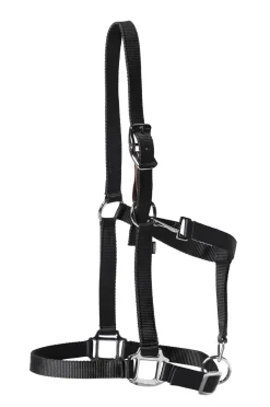 TEXT HORSE Suffolk™ Nylon Breakaway Halter- Halters
