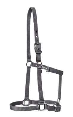 TEXT HORSE Suffolk™ Nylon Breakaway Halter- Halters