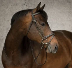 KINGS INTERNATIONAL Suffolk™ Single Crown Flash Bridle- English Bridles