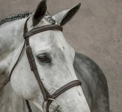 KINGS INTERNATIONAL Suffolk™ Single Crown Hunter Bridle- English Bridles