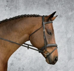 KINGS INTERNATIONAL Suffolk™ Single Crown Padded Dressage Bridle- English Bridles