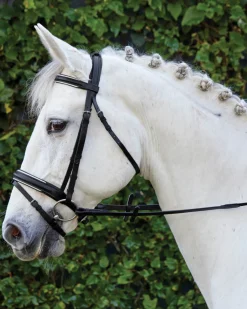 KINGS INTERNATIONAL Suffolk™ Single Crown Padded Dressage Bridle- English Bridles