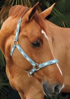 TEXT HORSE Suffolk™ Woven Argyle Breakaway Halter- Halters