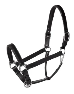PUSHKAR INTL Suffolk™ Everyday Halter- Halters
