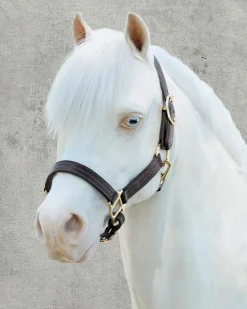 PUSHKAR INTL Suffolk™ Palermo Triple-Stitched Halter- Halters