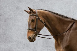 KINGS INTERNATIONAL Suffolk™ Single Crown Classic Dressage Bridle- English Bridles