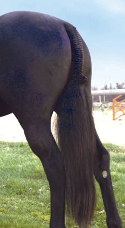 PROFESSIONALS CHOICE Tail Tamer® Hunter Trophy Tails™- Braiding & Tails