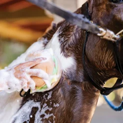 DREAMERS N SCHEMERS The Tack Hack Burger Body Sponge- Bathing Tools