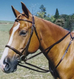 TORY LEATHER Company Breastplate Draw Reins- Lunging & Training Equipment