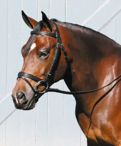 TORY LEATHER Company Deluxe Padded Dressage Bridle with Buckle Bit Ends- English Bridles