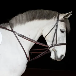 TORY LEATHER Company German Martingale Rein Set- Lunging & Training Equipment