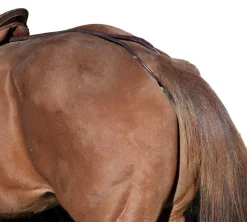 TORY LEATHER Company Horse Crupper/Aluminum Plate- Saddle Accessories|Saddle Covers & Leather Care