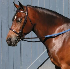 TORY LEATHER Company Padded English Bridle- English Bridles