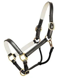 TORY LEATHER Company Padded Leather Halter- Halters