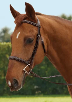 KINGS INTERNATIONAL TRU-Fit™ Build-A-Bridle™ Fancy-Stitched Hunter Noseband- Bridle Parts & Accessories