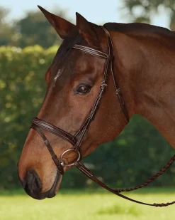 KINGS INTERNATIONAL TRU-Fit™ Build-A-Bridle™ Flash Noseband- Bridle Parts & Accessories
