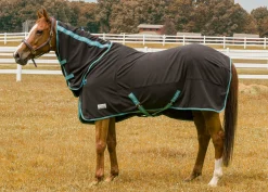 JPC EQUESTRIAN TuffRider® Cooler Sheet Combo- Horse Coolers
