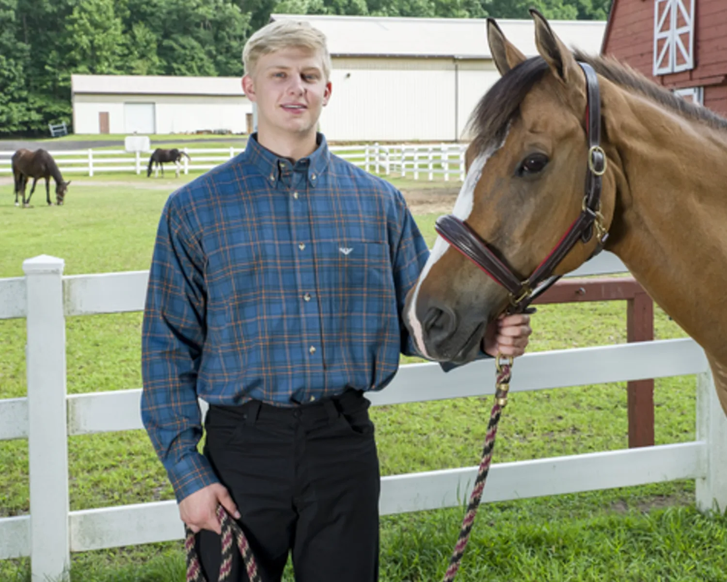 JPC EQUESTRIAN TuffRider® Men’s Voltage Print Work Shirt- Men's Casual Riding Tops