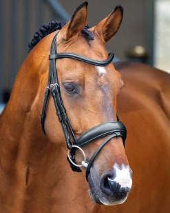 SHIRES EQUESTRIAN Velociti Lusso Dressage Flash Bridle- English Bridles
