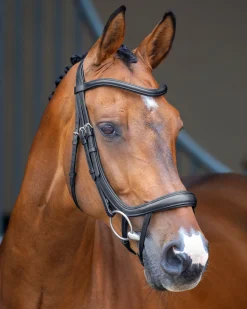 SHIRES EQUESTRIAN Velociti Lusso Ergonomic Curved Flash Bridle- English Bridles