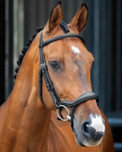 SHIRES EQUESTRIAN Velociti Lusso Ergonomic Flash Bridle- English Bridles