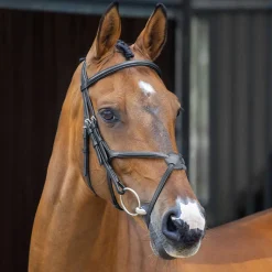 SHIRES EQUESTRIAN Velociti Lusso Grackle Bridle- English Bridles