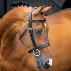 SHIRES EQUESTRIAN Velociti Lusso Hunter Caveson Bridle- English Bridles