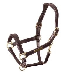 SHIRES EQUESTRIAN Velociti Rapida Cushioned Leather Halter- Halters