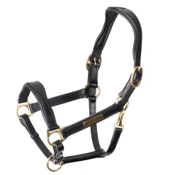 SHIRES EQUESTRIAN Velociti Rapida Cushioned Leather Halter- Halters