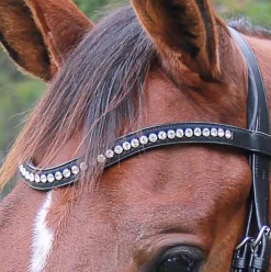 WORLD EQUSTRN BRNDS Veritas by Vespucci Contoured Browband with Swarovski® Crystals- Bridle Parts & Accessories