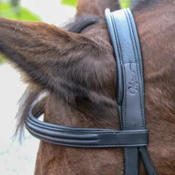 WORLD EQUSTRN BRNDS Vespucci Classic Dressage Bridle- English Bridles