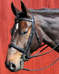 WORLD EQUSTRN BRNDS Vespucci Dressage Double Raised Weymouth Bridle- English Bridles