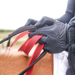 WALDHAUSEN Secutrust Breastplate with Safety Reins- Martingales & Breastplates