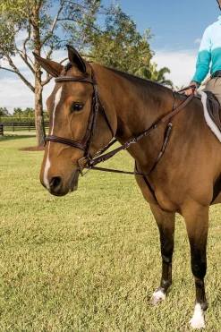 WALSH PRODUCTS Walsh™ German Martingale- Lunging & Training Equipment