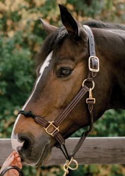 WALSH PRODUCTS Walsh™ Rope Nose British Halter- Halters