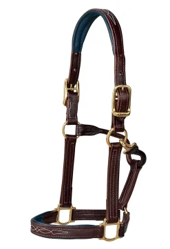 WALSH PRODUCTS Walsh™ Signature Padded Halter- Halters