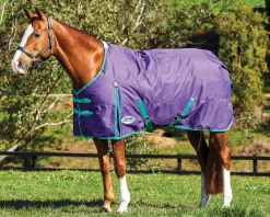 WEATHERBEETA ® ComFiTec™ Essential Solid Medium Weight Turnout Blanket- Turnout Blankets
