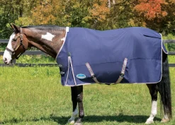 WEATHERBEETA ® ComFiTec™ Essential Solid Turnout Sheet- Turnout Sheets