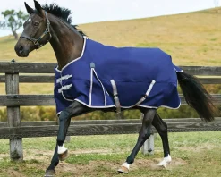 WEATHERBEETA ® ComFiTec™ Essential Standard Neck Heavyweight Turnout- Turnout Blankets