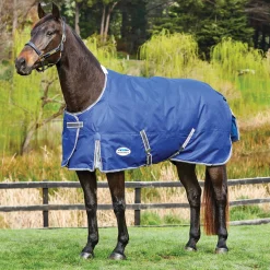 WEATHERBEETA ® ComFiTec™ Free Standard Neck Medium Weight Turnout Blanket- Turnout Blankets