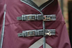 WEATHERBEETA ® ComFiTec™ Plus Dynamic II Standard Neck Medium-Weight Turnout Blanket- Turnout Blankets