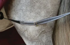 WEATHERBEETA ® ComFiTec™ Plus Dynamic II Standard Neck Medium-Weight Turnout Blanket- Turnout Blankets