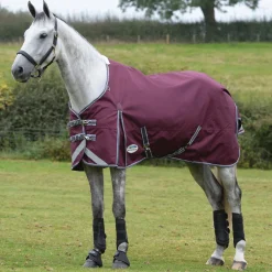 WEATHERBEETA ® ComFiTec™ Plus Dynamic II Standard Neck Lite Turnout- Turnout Blankets
