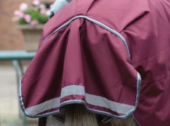 WEATHERBEETA ® ComFiTec™ Plus Dynamic II Standard Neck Lite Turnout- Turnout Blankets