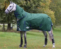 WEATHERBEETA ® ComFiTec™ Plus Dynamic II Detach-A-Neck Heavyweight Turnout Blanket- Turnout Blankets