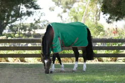 WEATHERBEETA ® ComFiTec™ Prelim Standard Neck Medium-Weight Turnout Blanket- Turnout Blankets
