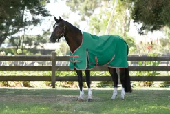 WEATHERBEETA ® ComFiTec™ Prelim Standard Neck Medium-Weight Turnout Blanket- Turnout Blankets