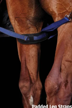 WEATHERBEETA ® ComFiTec™ Ultra Cozi II Detach-A-Neck Medium-Weight Turnout Blanket- Turnout Blankets